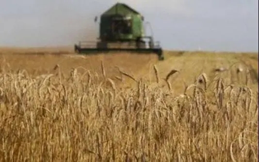 1634781026117554.jpg 2.webp.jpg